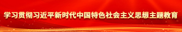 俄罗斯大吊一二三区学习贯彻习近平新时代中国特色社会主义思想主题教育